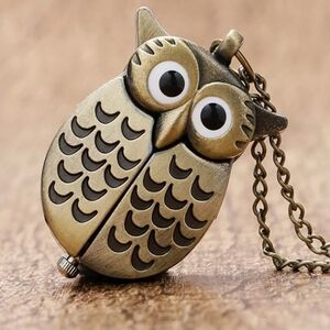 New beautiful owl bird pocket watch